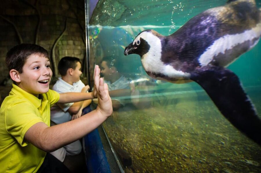 New Orleans: Audubon Aquarium & Insectarium Ticket - Adding the Audubon Insectarium