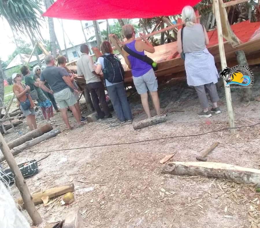 Nungwi Village Tour & Swim with Turtles at Mnarani Aquarium - Who will enjoy this Nungwi tour most