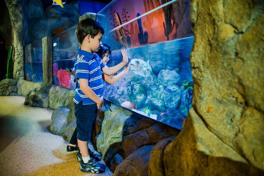 Oberhausen: LEGOLAND Discovery Centre and SEA LIFE Ticket - MINILAND brings the Ruhr area into the room