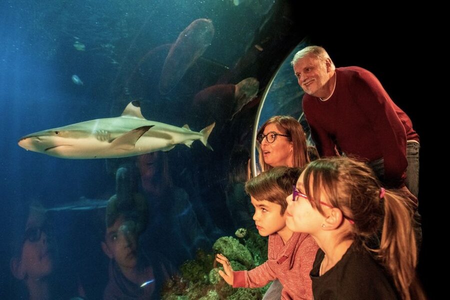Oberhausen: LEGOLAND Discovery Centre and SEA LIFE Ticket - 4D cinema and two rides add action