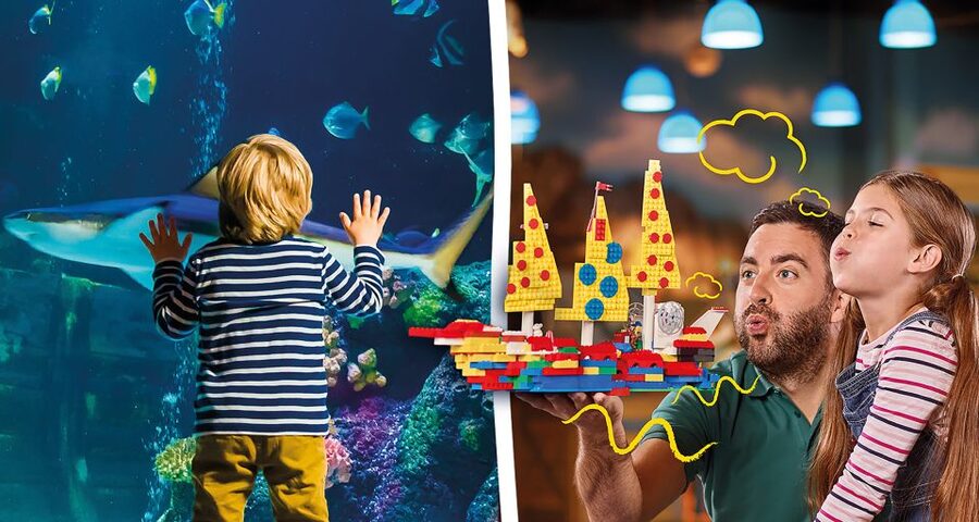 Oberhausen: LEGOLAND Discovery Centre and SEA LIFE Ticket - How to plan the timing between both attractions