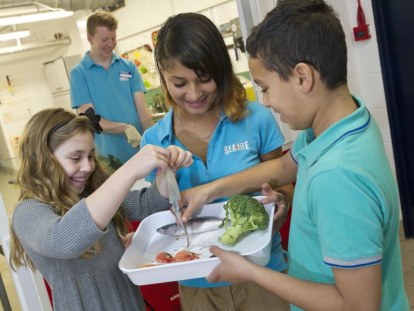 Oberhausen: SEA LIFE Ticket and Behind the Scenes Tour - Inside the feed kitchen and laboratory