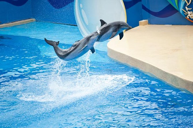 Ocean Park Full-Day Coach Tour with Hotel Pickup in Kowloon Area from Hong Kong - Thrill Mountain for roller coaster fans