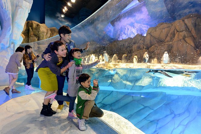 Ocean Park Full-Day Coach Tour with Hotel Pickup in Kowloon Area from Hong Kong - Polar Adventure and the chill zone