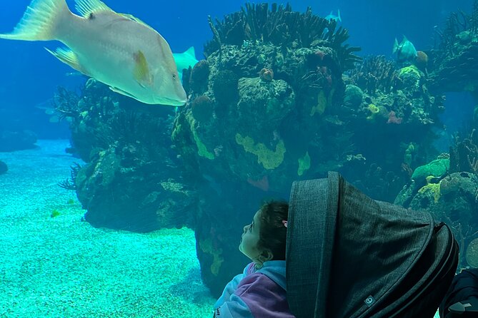 Oceanarium, Telecabine and San George Castelo Full Day Trip - Key points to know before booking