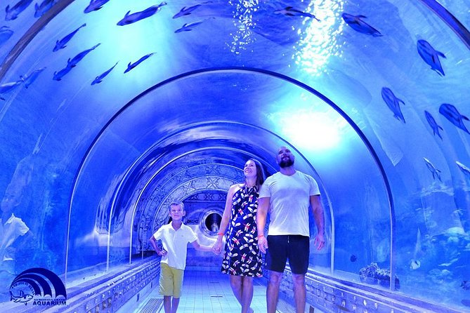 Official Account: Hurghada Grand Aquarium Entrance Tickets - What the Hurghada Grand Aquarium Is Like