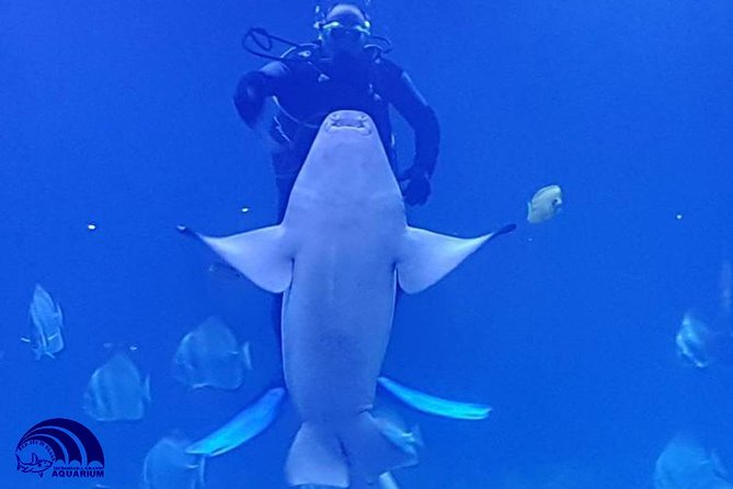 Official Account: Hurghada Grand Aquarium Entrance Tickets - The Underwater Tunnel and Shark Feeding