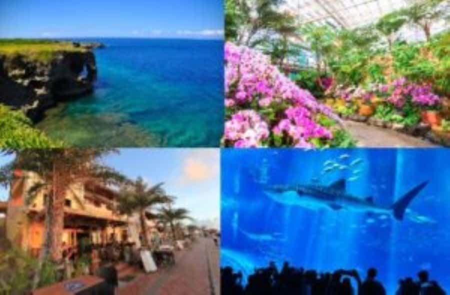 Okinawa: Bus Tour to Churaumi Aquarium with Sightseeing - Kariyushi Beach and the glass-bottom boat
