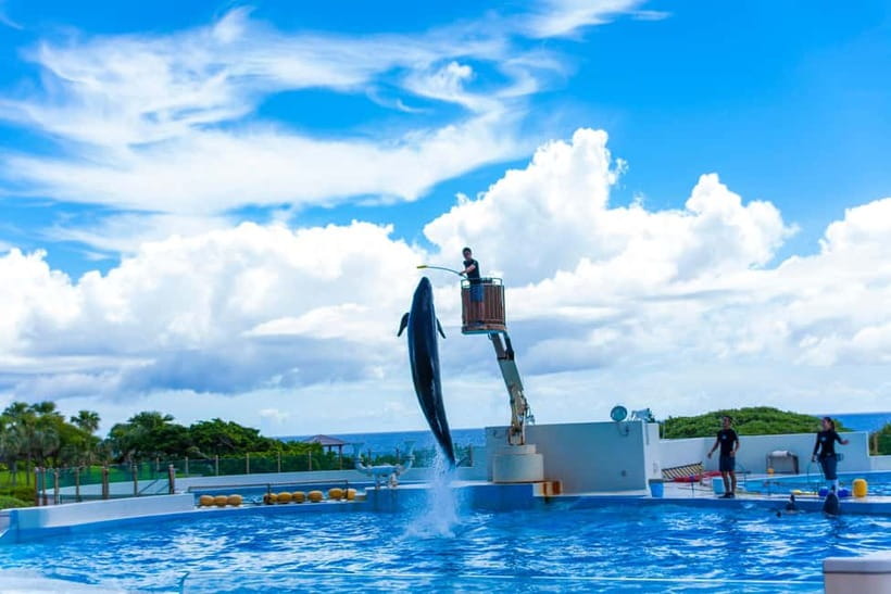 Okinawa Churaumi or Tropical, Kouri American Village BusTour - Is this Okinawa bus tour worth $45?
