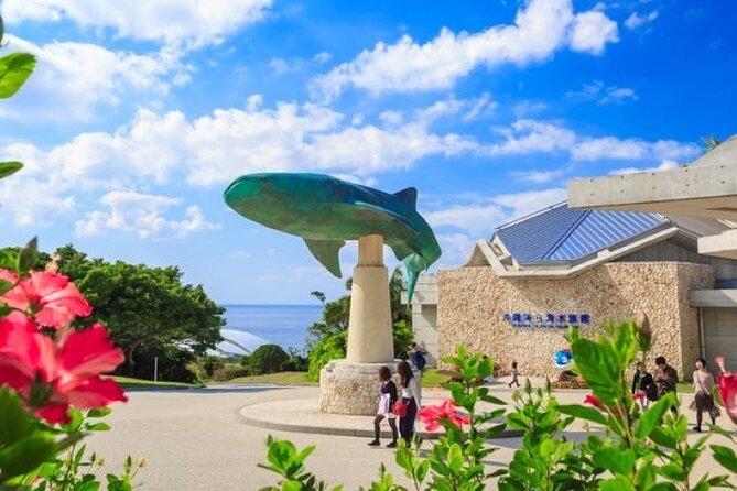 Okinawa HIP-HOP BUS B - 1 Course Tour (Okinawa Churaumi Aquarium) - Bise Fukugi Tree Road and a slower Okinawan scene