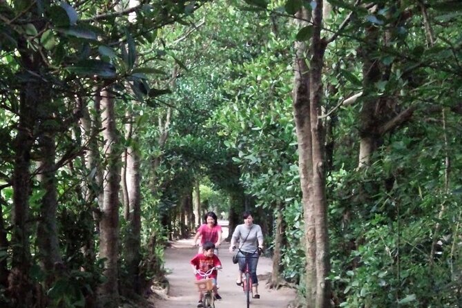 Okinawa HIP-HOP BUS B - 1 Course Tour (Okinawa Churaumi Aquarium) - Is $59.46 good value?