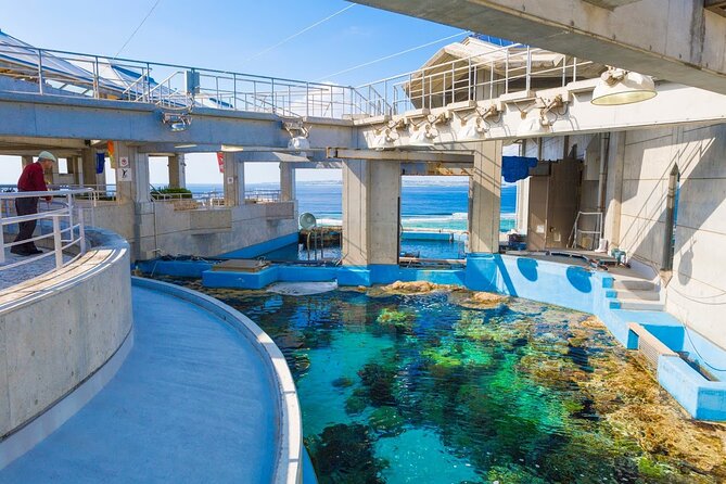 Okinawa HIP-HOP BUS B - 1 Course Tour (Okinawa Churaumi Aquarium) - Who should book this experience?