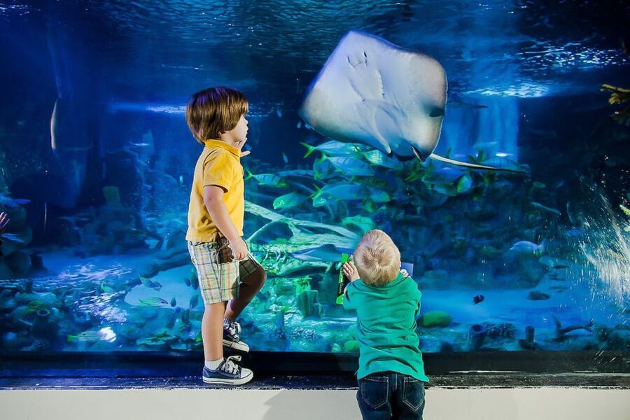 Orlando: Madame Tussauds and SEA LIFE Aquarium Combo Ticket - Starting with SEA LIFE Aquarium