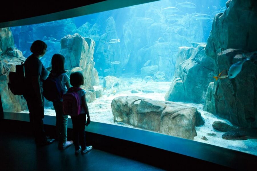 Orlando: SEA LIFE Orlando Aquarium - Key points at a glance