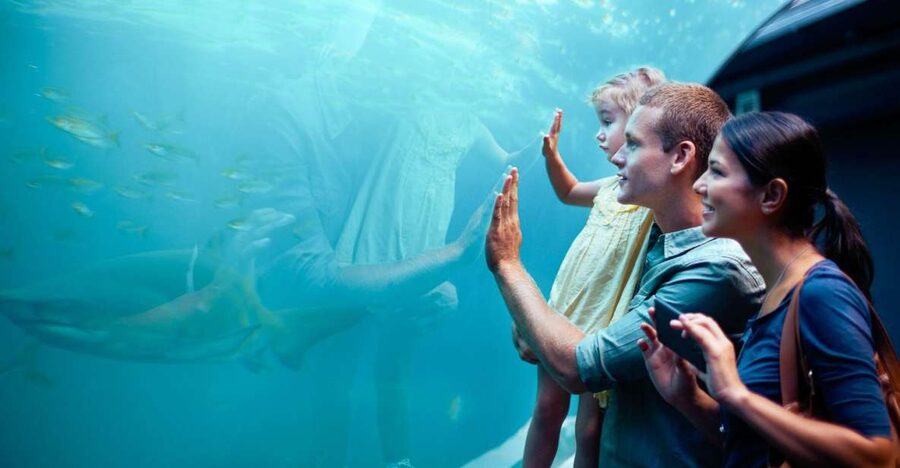 Orlando: SEA LIFE Orlando Aquarium - Is the $30 ticket good value?
