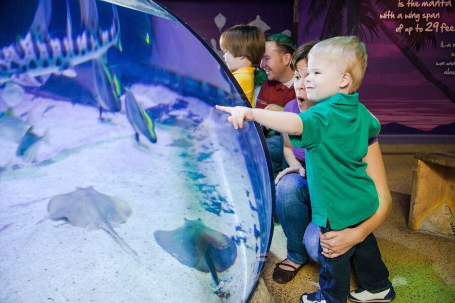 Orlando: SEA LIFE Orlando Aquarium - Optional shark virtual reality experience