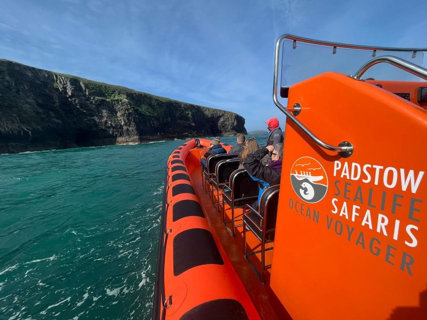 Padstow: Guided RIB Sealife Safari - Who should book this safari?