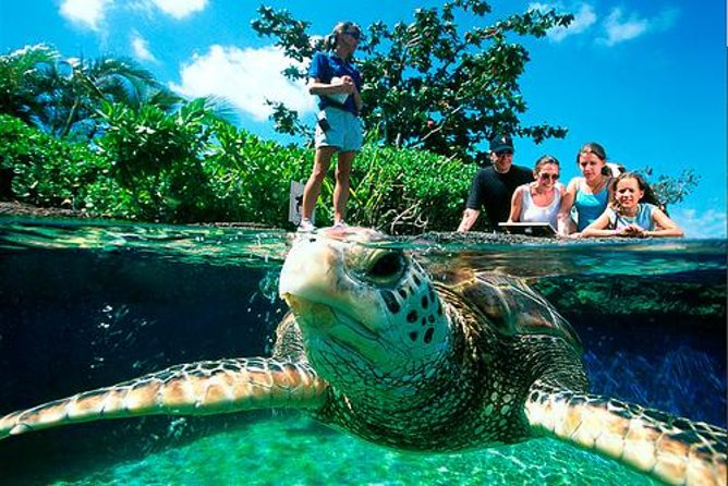 Palma Aquarium with return bus from Port Alcudia - Five hours inside Palma Aquarium