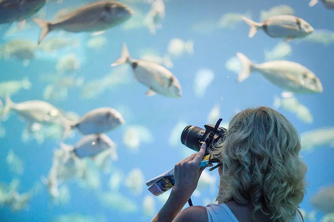 Palma Aquarium with return bus from Port Alcudia - Is it good for children?