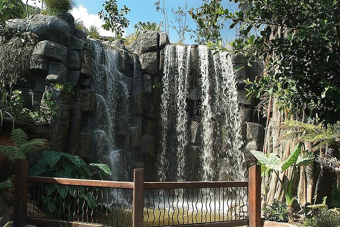 Palma Aquarium with return bus from Port Alcudia - The optional Palma stop for eastern Mallorca