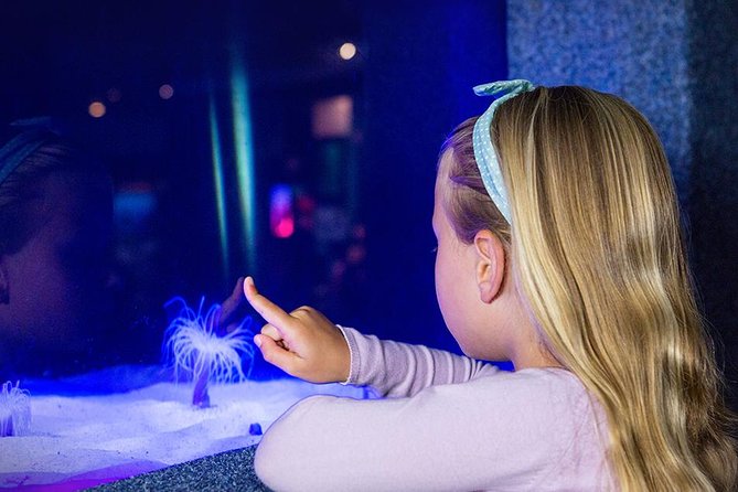Palma Aquarium with return bus from Port Alcudia - Playa de Palma as a useful extra