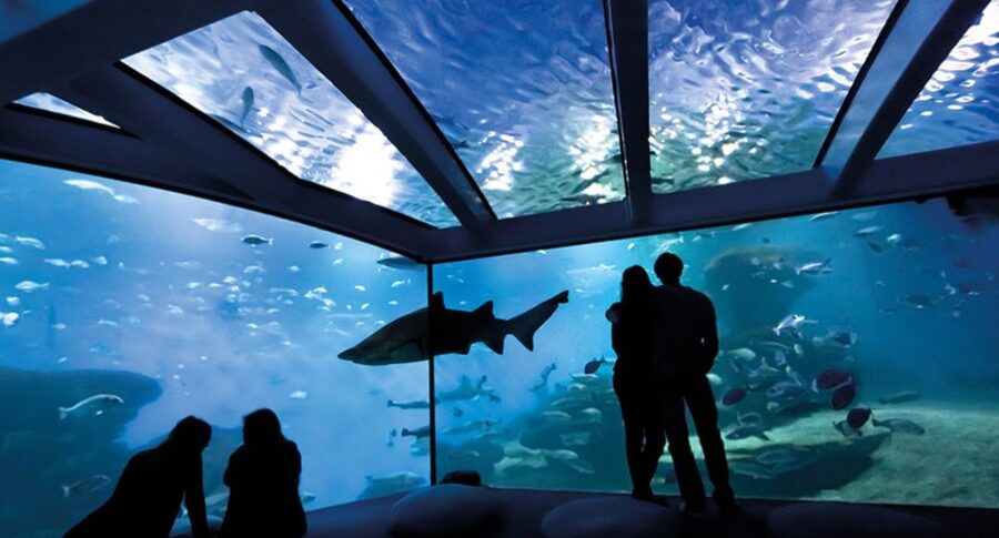 Palma: Palma Aquarium Ticket with Transfer Service - What the $39 price really includes