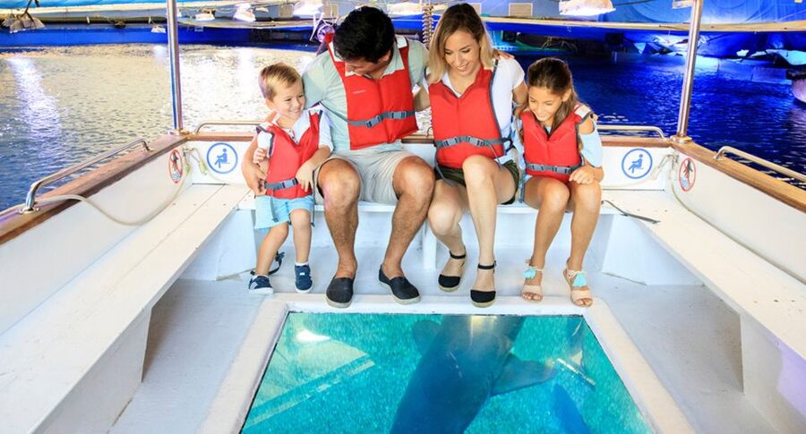 Palma: Palma Aquarium Ticket with Transfer Service - Entering Big Blue, the shark tank