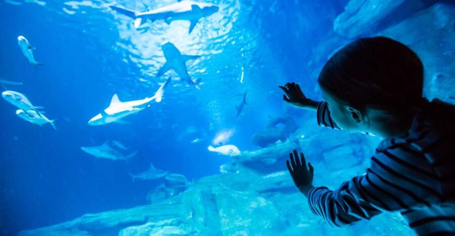 Paris: Aquarium de Paris Entrance Ticket - Key points to know before you go