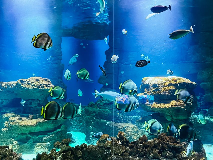 Paris: Aquarium de Paris Entrance Ticket - Who will enjoy this aquarium most?