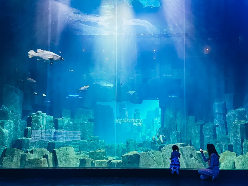 Paris: Aquarium de Paris Entrance Ticket - Why the jellyfish displays deserve extra time