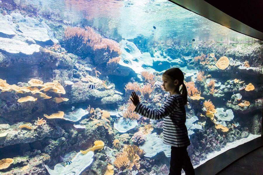 Paris: Aquarium de Paris Entrance Ticket - Shows, workshops, cartoons, and films