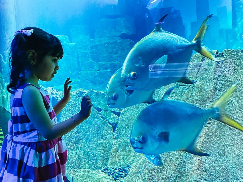 Paris: Aquarium de Paris Entrance Ticket - How long should you allow?