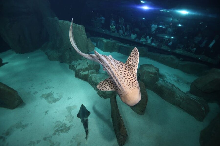 Paris: Aquarium de Paris Entrance Ticket - Finding the entrance and using your ticket