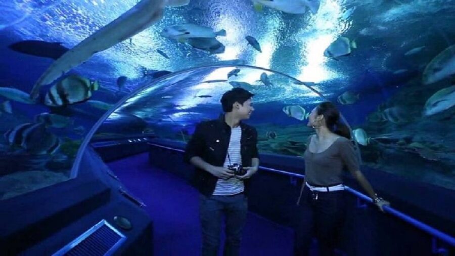 Pattaya: Underwater World Pattaya Aquarium Admission Ticket - The important ticket problem to avoid