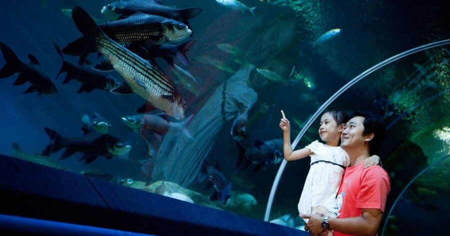 Pattaya: Underwater World Pattaya Aquarium Admission Ticket - What the Pattaya aquarium is like