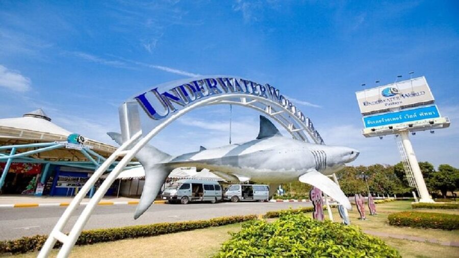 Pattaya: Underwater World Pattaya Aquarium Admission Ticket - Siam Giant Zone: a look at larger local species