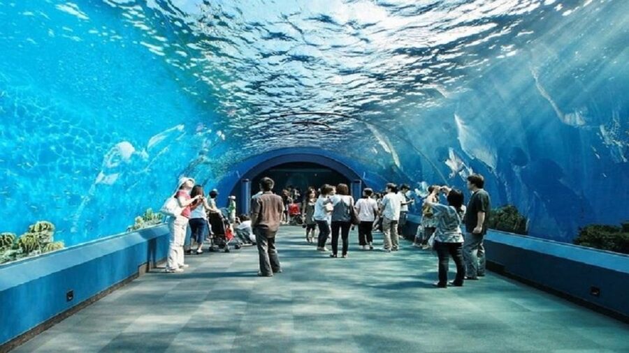 Pattaya: Underwater World Pattaya Aquarium Admission Ticket - Touch Pool Zone: the most hands-on part