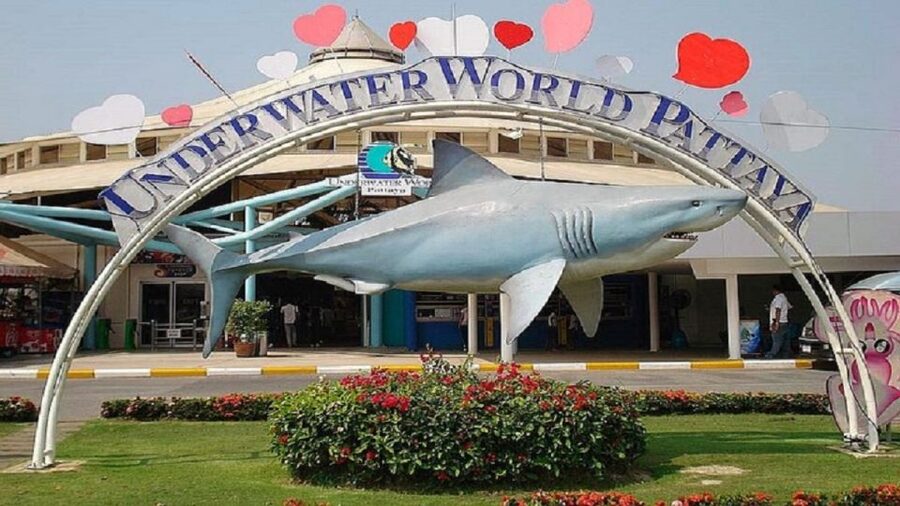 Pattaya: Underwater World Pattaya Aquarium Admission Ticket - Is the $8 admission good value?