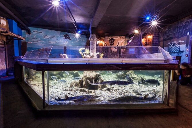 Premium Ticket Sea Life Benalmádena - Key points at a glance