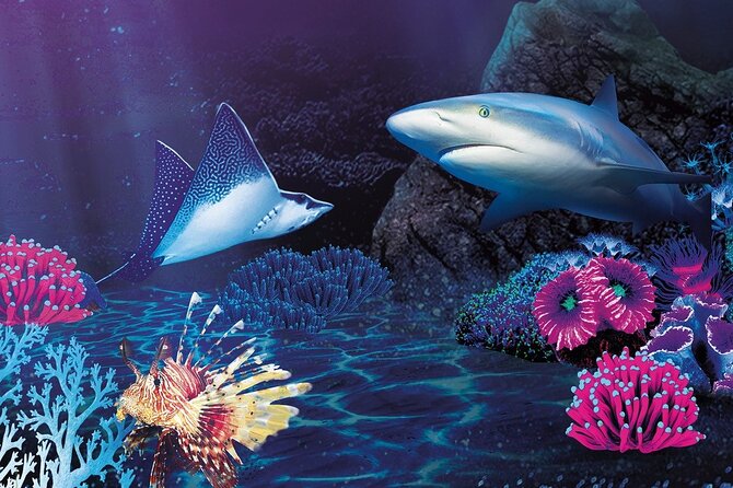 Premium Ticket Sea Life Benalmádena - Touch Pools Bring the Aquarium Down to Your Hands