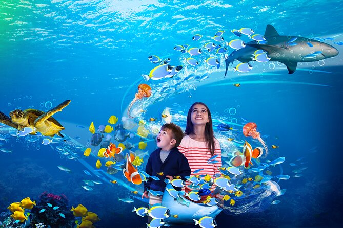 Premium Ticket Sea Life Benalmádena - Timing, Queues, and Other Practical Details
