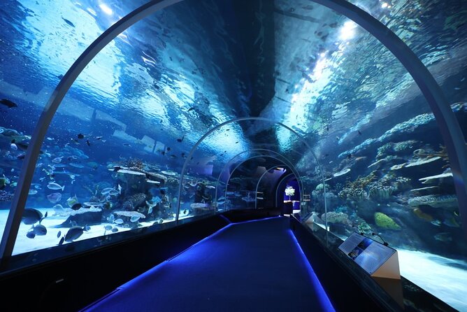 Private Hamad Port Tour in Mesaieed |Aquarium |Maritime Museum - Key Things to Know Before You Go