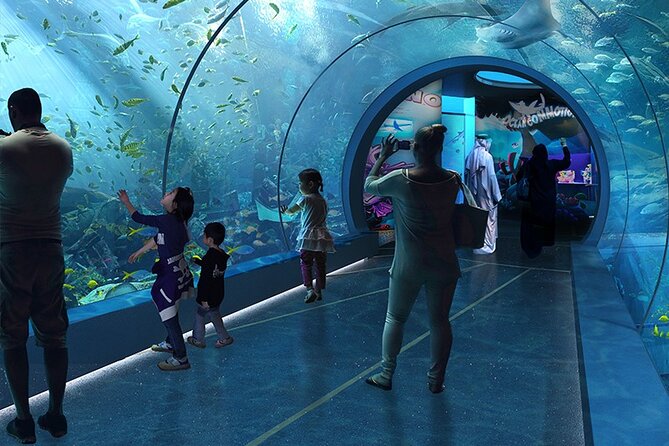 Private Hamad Port Tour in Mesaieed |Aquarium |Maritime Museum - From Doha to Hamad Port