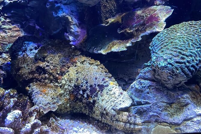 Private Hamad Port Tour in Mesaieed |Aquarium |Maritime Museum - Who Will Enjoy This Visit Most?
