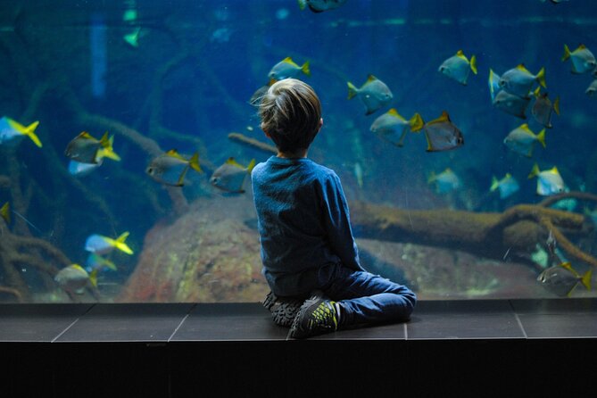 Private Hamad Port Tour in Mesaieed |Aquarium |Maritime Museum - Qatar’s Maritime Story Inside the Museum