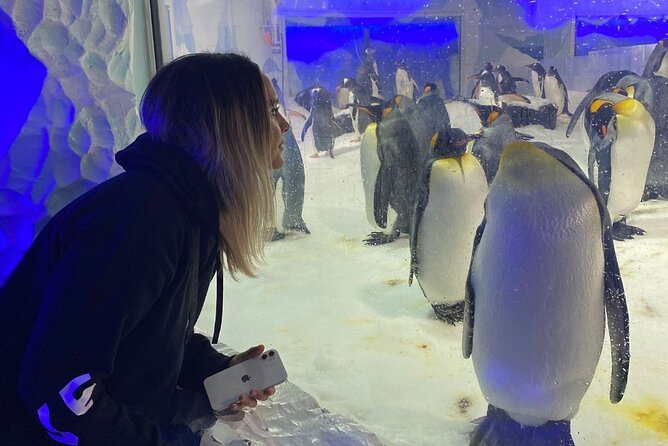 Private Tour: Auckland City, Aquarium, Sky Tower, Mt Eden & Wētā - Key points to know before booking