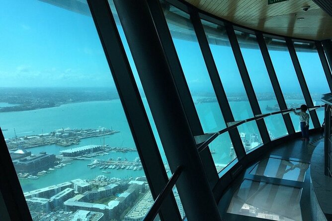 Private Tour: Auckland City, Aquarium, Sky Tower, Mt Eden & Wētā - What the private vehicle adds