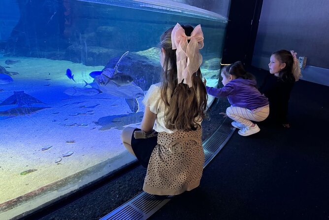 Private Tour: Auckland City, Aquarium, Sky Tower, Mt Eden & Wētā - Is $1,299 per person good value?