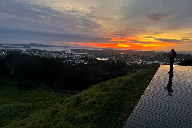 Private Tour: Auckland City, Aquarium, Sky Tower, Mt Eden & Wētā - Kelly Tarlton’s Aquarium and its penguins