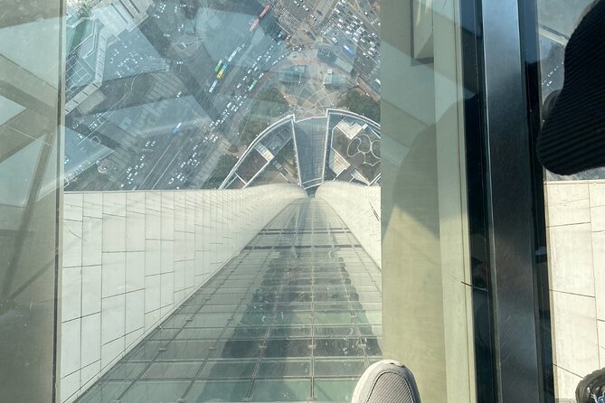Private tour Lotte World,Tower,Aquarium(All Tickets are included) - What the Private Vehicle Adds
